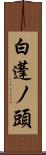 白蓬ノ頭 Scroll