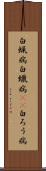 白蝋病 Scroll