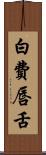 白費唇舌 Scroll