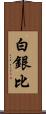 白銀比 Scroll
