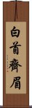 白首齊眉 Scroll