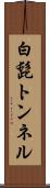 白髭トンネル Scroll
