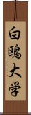 白鴎大学 Scroll