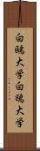 白鷗大学 Scroll