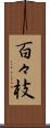 百々枝 Scroll