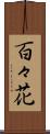 百々花 Scroll