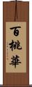 百桃華 Scroll