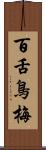百舌鳥梅 Scroll