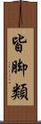 皆脚類 Scroll