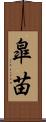 皐苗 Scroll