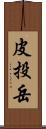 皮投岳 Scroll