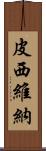 Picivina Scroll