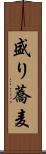 盛り蕎麦 Scroll