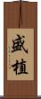 盛植 Scroll
