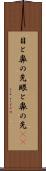 目と鼻の先 Scroll