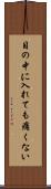 目の中に入れても痛くない Scroll
