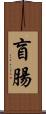 盲腸 Scroll