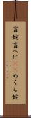 盲蛇 Scroll