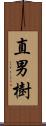 直男樹 Scroll