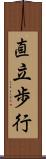直立歩行 Scroll