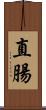 直腸 Scroll