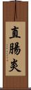 直腸炎 Scroll