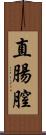 直腸膣 Scroll