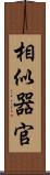 相似器官 Scroll