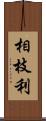 相枝利 Scroll