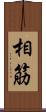 相筋 Scroll