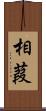 相葭 Scroll