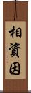 相資因 Scroll