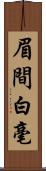 眉間白毫 Scroll