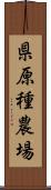 県原種農場 Scroll