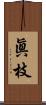 眞枝 Scroll