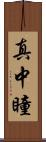 真中瞳 Scroll