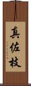 真佐枝 Scroll