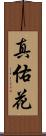 真佑花 Scroll