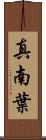 真南葉 Scroll