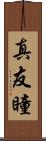 真友瞳 Scroll