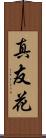 真友花 Scroll