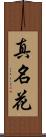 真名花 Scroll