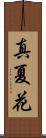真夏花 Scroll