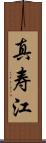 真寿江 Scroll