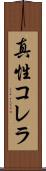 真性コレラ Scroll