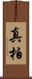 真柏 Scroll