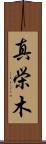 真栄木 Scroll
