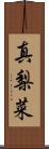 真梨菜 Scroll