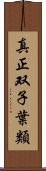 真正双子葉類 Scroll