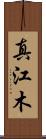 真江木 Scroll